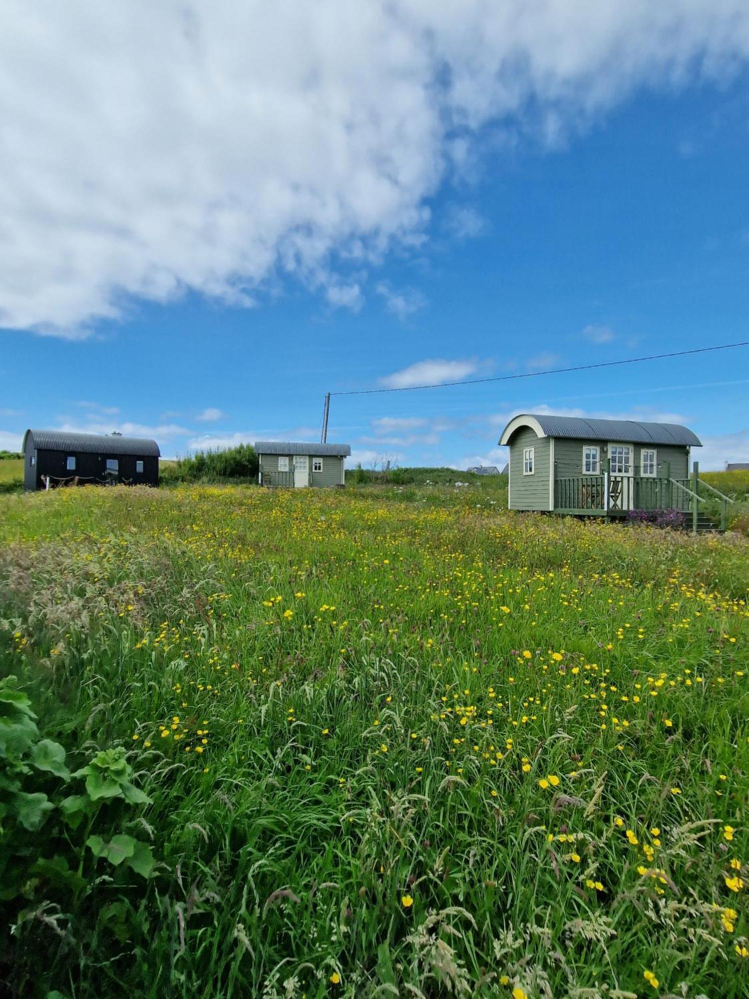 Вилла Wild Meadow Huts Дулин Экстерьер фото