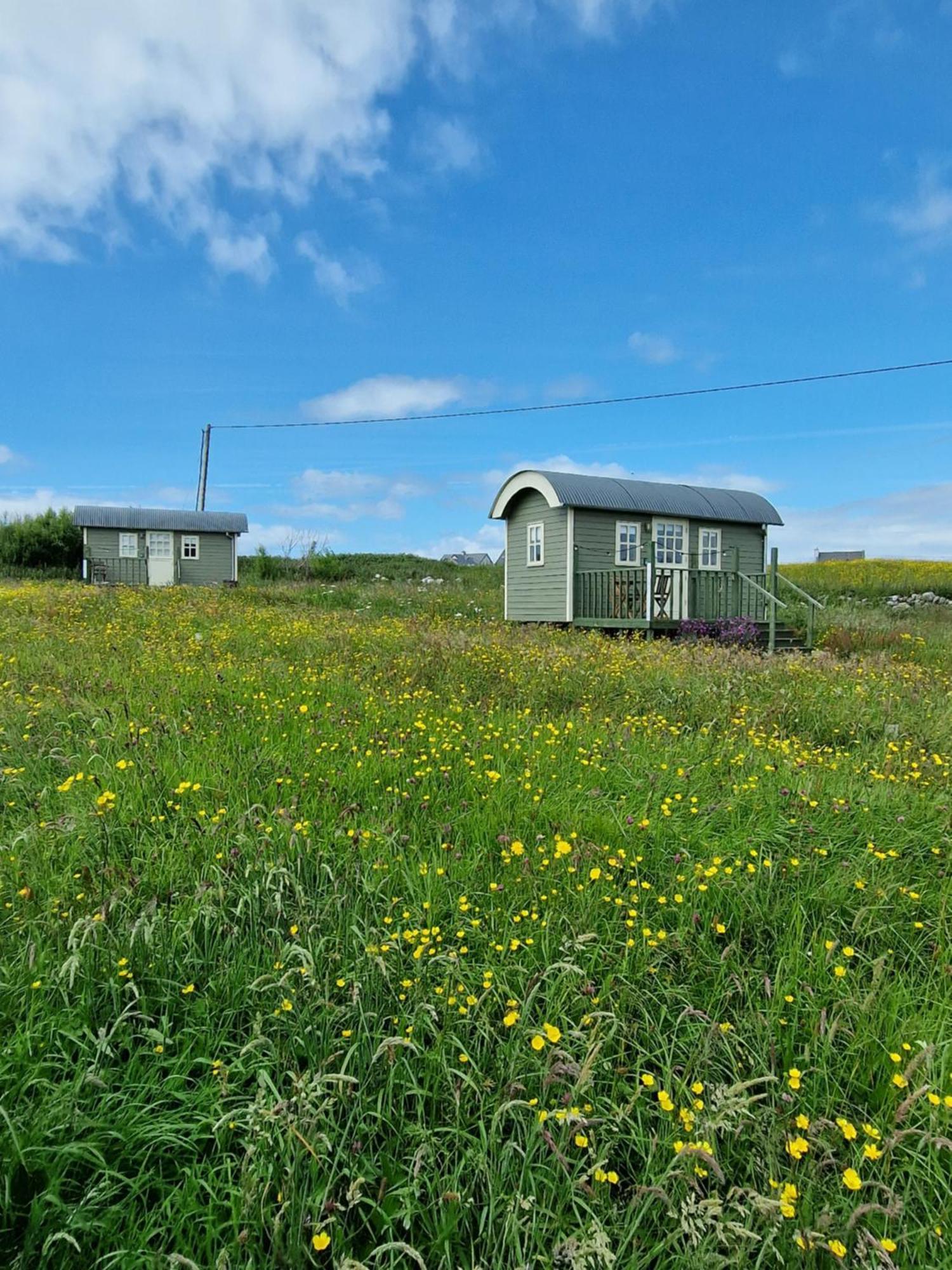 Вилла Wild Meadow Huts Дулин Экстерьер фото