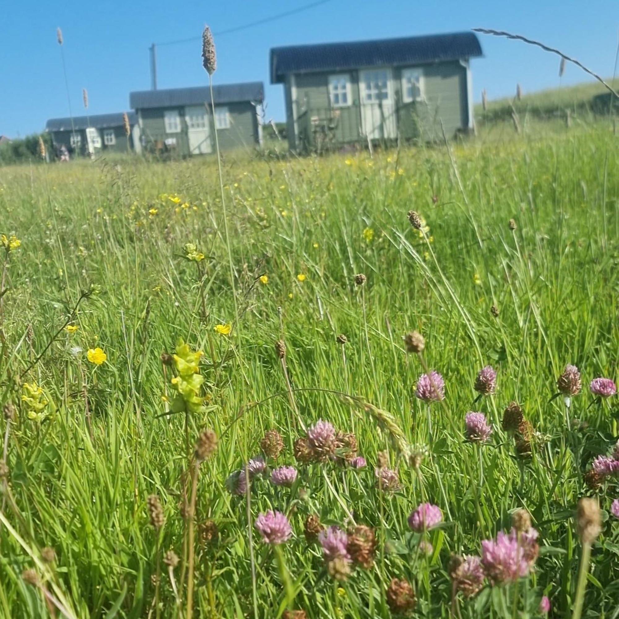 Вилла Wild Meadow Huts Дулин Экстерьер фото